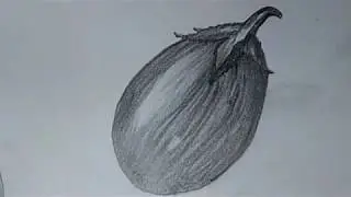 How to Draw a brinjal  with pencil step by step