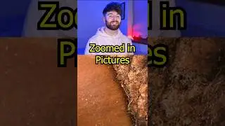 Zoomed in Pictures - part 37 #photography #irish #irishyoutuber #youtubeshorts #shorts