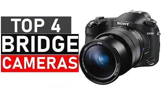 Top 4 Best Bridge Cameras in 2026