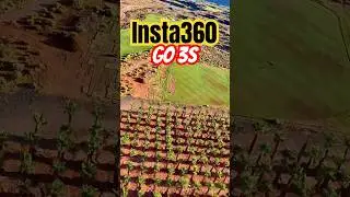 Insta360 Go3S - Flying FPV - One Word - YES #insta360go #drone #insta360go3s