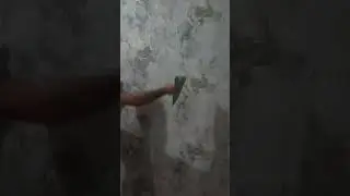 устои обой шдем#душанбе #таджикистан