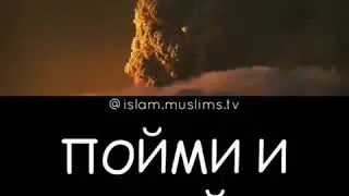 Пойми знай