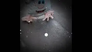 Бедни буба #угар2024 #shorts #fnf #мем #tiktok #активвернись