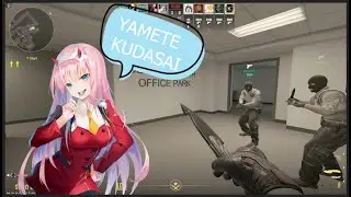 Unboxing *RARE* Anime Waifu in CS2!!!