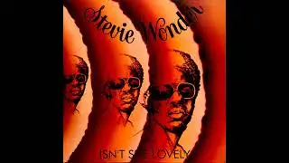 Stevie Wonder - Isn't She Lovely (LYRICS)