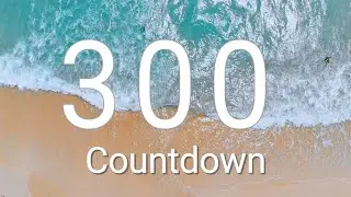 300 Seconds Timer with Alarm