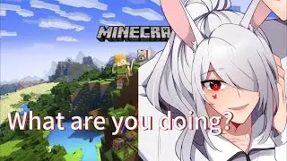 What do you see, guys?