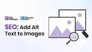 SEO: Add Alt Text to Your Website's Images | Xara