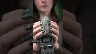 A slow and precise Scalp Massage l No Talking ASMR