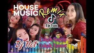 REMIX Tik Tok-DJ Milenial Dugem Asyik#eko supadi1983