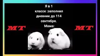 Тик Ток Смотрит Мемы С Папичем | Мемы и Приколы Tik Tok #48