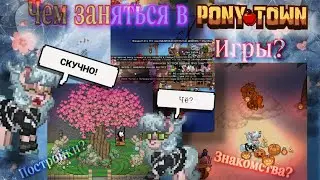 Чем можно заняться в Пони Тауне? //~ Как провести время в Pony Town?~ //