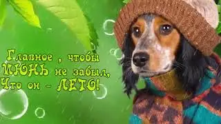 Настало лето! Не мерзни! (юмор, песня)