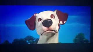 Nick Dog