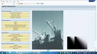 SAP GTS - SYSTEM SETTINGS (1)