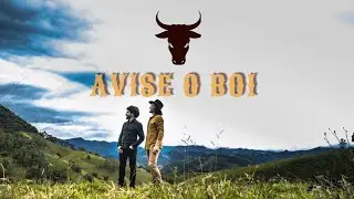 AVISE O BOI - OFICIAL