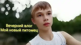Вечерний влог. Кормлю своих животных. Мой новый питомец