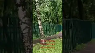 ураган Эдгар. последствия. мегаливень.