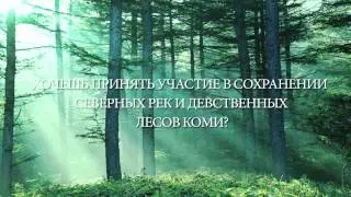 СыктГУ: Экология