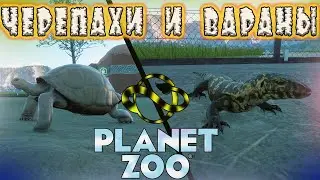 Прохождение Planet Zoo В 2022! Черепахи И Вараны!!!