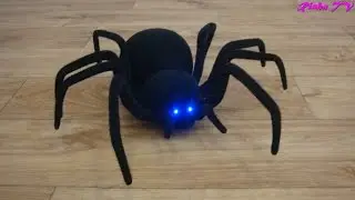 Паук на Радиоуправлении.  Black Widow