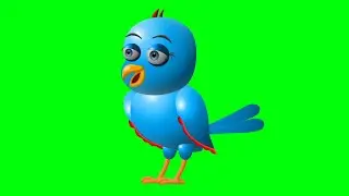 Tuni chidiya in green screen/Green screen video free copy right