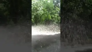 Flooded driveway fun
