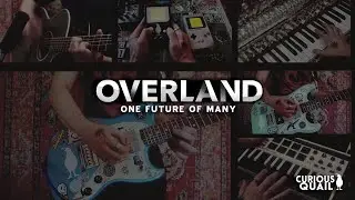 Curious Quail - One Future of Many