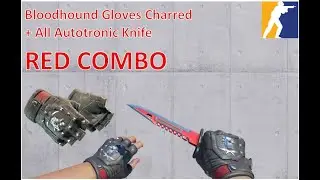 Bloodhound Gloves Charred + All Autotronic Knife | RED COMBO | CS2 Showcase
