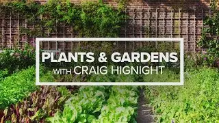 Plants & Gardens with Craig Hignight: Sept. 11, 2024