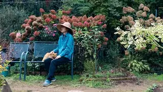 A fun and enjoyable autumn day in the Korean countryside, even if your body is tired~!!