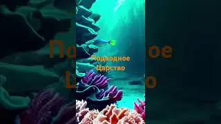 Подводное царство