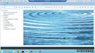 SAP REMOTE & EXPORT/IMPORT  CLIENT COPY