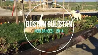 Bostan Gülistan - Hobby Garden 2014 Album