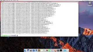 The find command on linux
