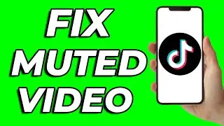 How To Fix A Muted Video On TikTok (2025)