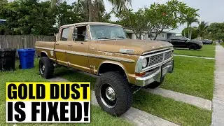 Gold Dust is Fixed, Clyde & Snickers Update!