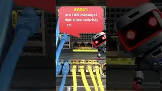 Cisco CCNA: What are BPDUs for? - #icmpwolf - #bpdu #spanningtree
