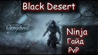 Black Desert Ниндзя - актуальный гайд