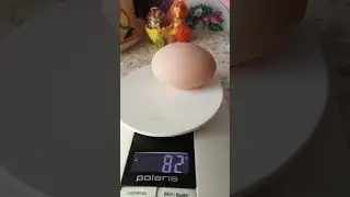 СНЕСЛА КУРОЧКА🐓 ЯИЧКО🥚, да НЕ ПРОСТОЕ а...🐣