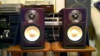 Акустические системы onkyo D-302E