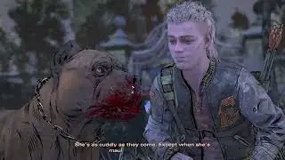 meeting the dog