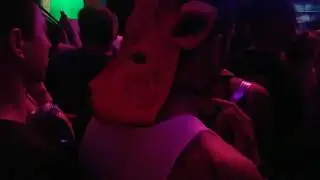 ●Partly-vlog● Rave - elrow experience