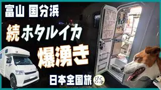 【ほたるいか爆涌き？】国分海浜公園で🦑プチ湧きしました 初めての豊漁に大満足#アレンHLE#ホタルイカ  #高岡市 #国分海浜公園#車中泊