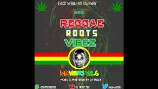 Reggae Hits: Feel the Vibez in 2020!  Teaser  - DJ Trust