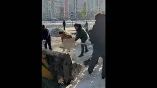 Уборка снега 27 мкр. Липецк.