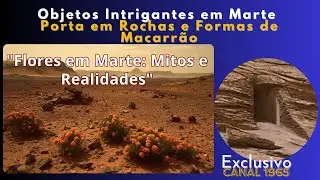Mistério em Marte: Objetos Intrigantes Encontrados no Planeta Vermelho #canal1965