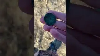 Раскопки урочища «Шельгино»