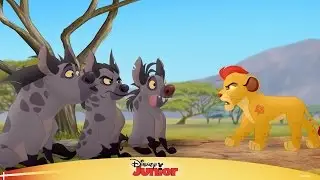 Løvernes garde: Hyænerne kommer i knibe - Disney Junior Danmark