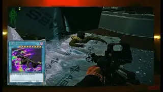 "why do you main labs?"